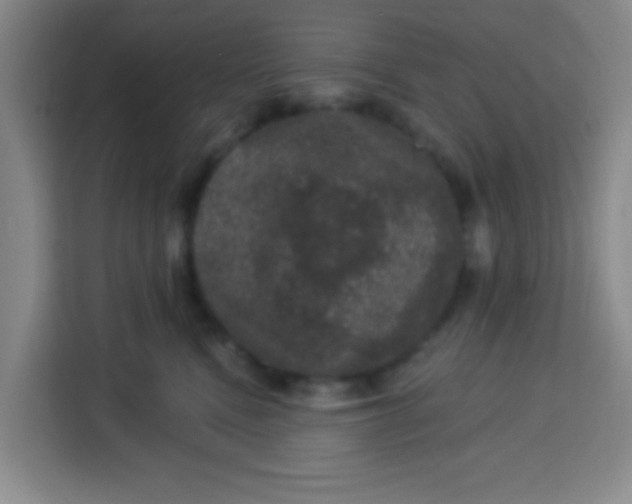 X0000113280472200910051044