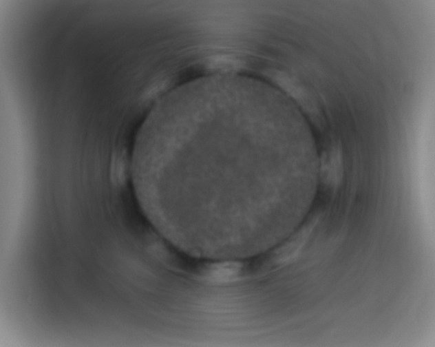 X0000113280474200910051044