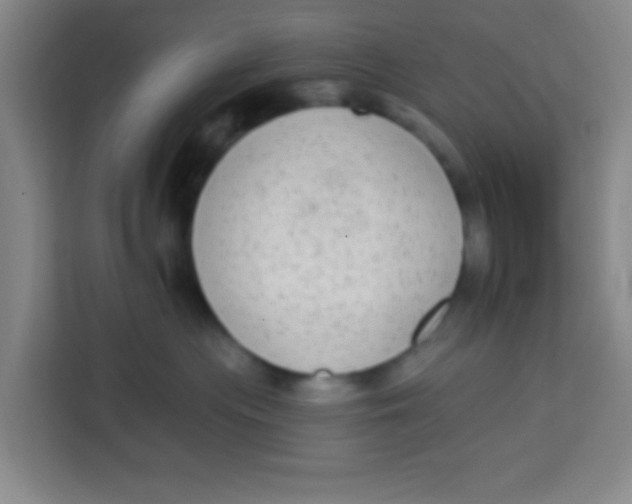 X0000113280477200910051044