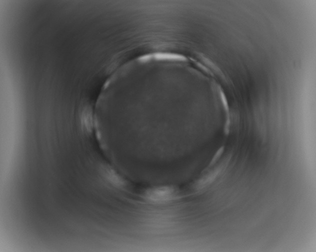 X0000113280479200910051044