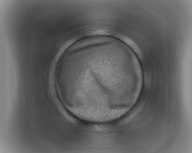 X0000113280481200910051043