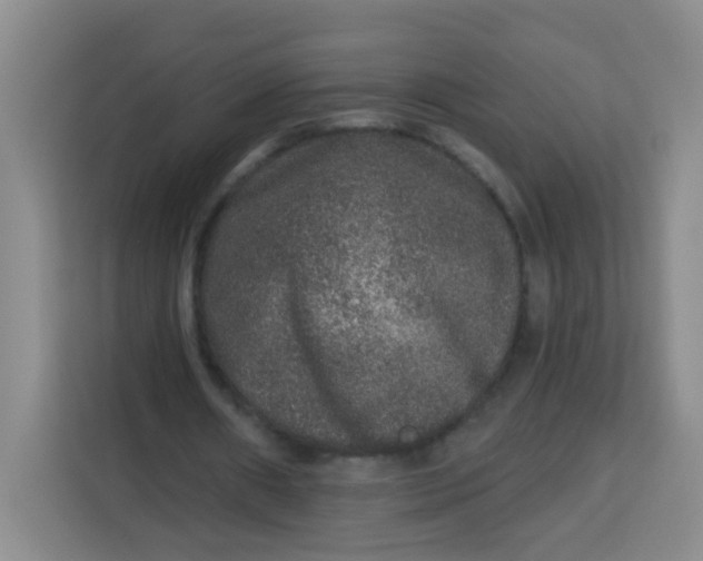 X0000113280482200910051043