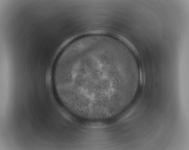 X0000113280483200910051043