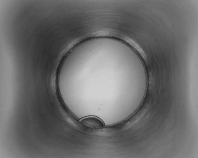 X0000113280485200910051043