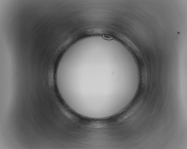 X0000113280489200910051043