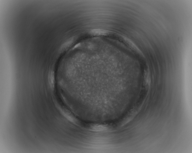 X0000113280494200910051043