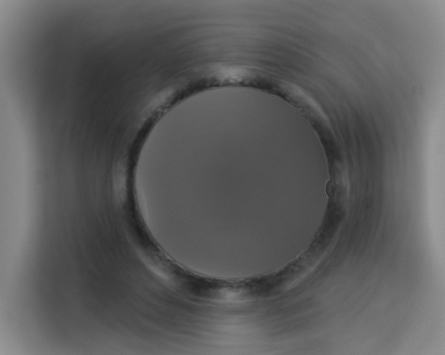 X0000113280496200910051043