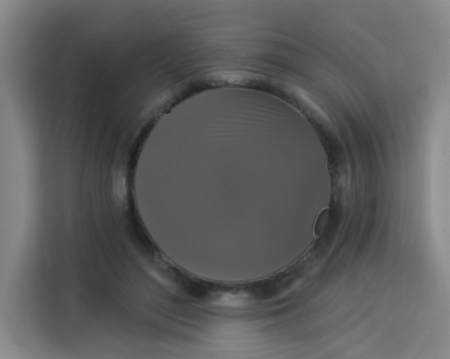 X0000113280500200910051043