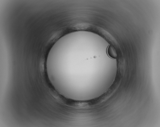 X0000113280501200910051043