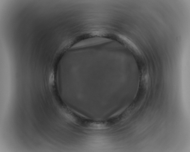 X0000113280502200910051043