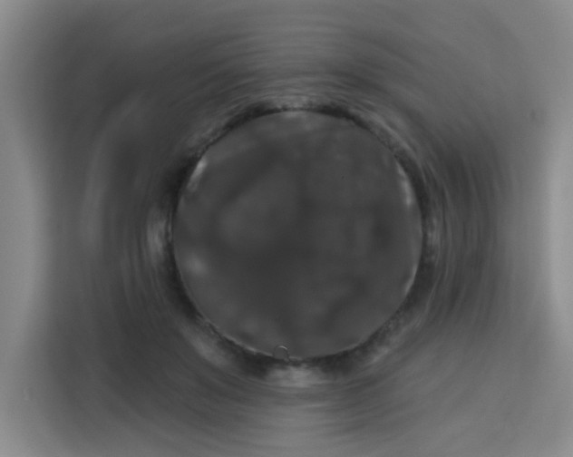 X0000113280503200910051043