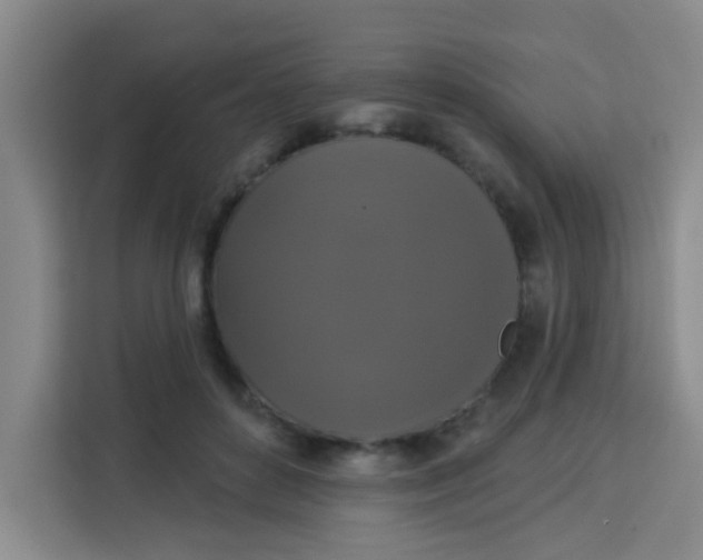 X0000113280504200910051043