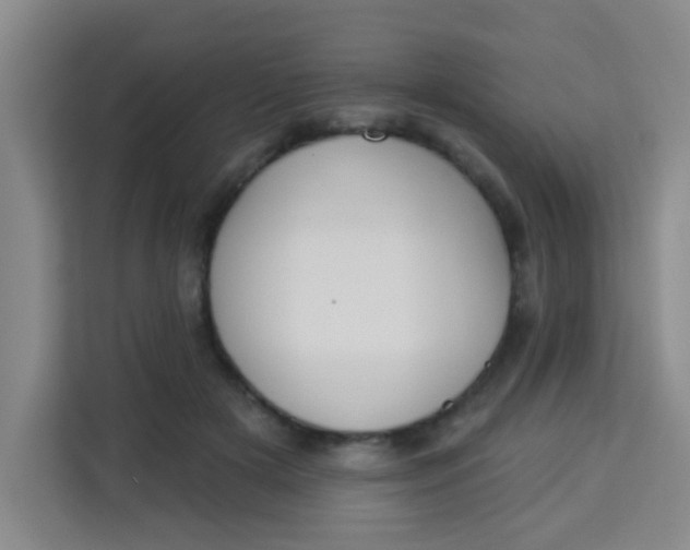 X0000113280505200910051043