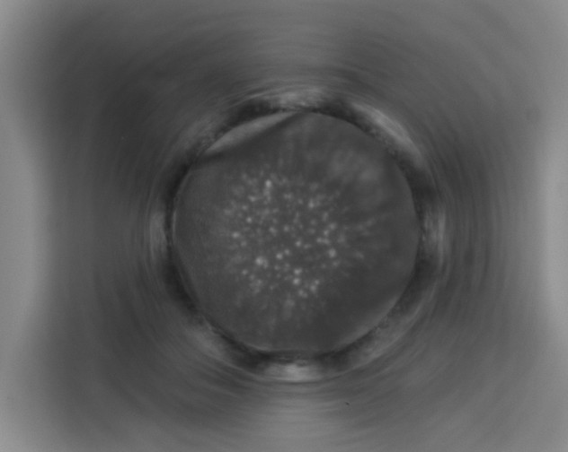 X0000113280506200910051043