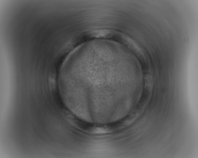 X0000113280510200910051043