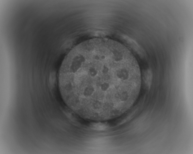 X0000113280511200910051043