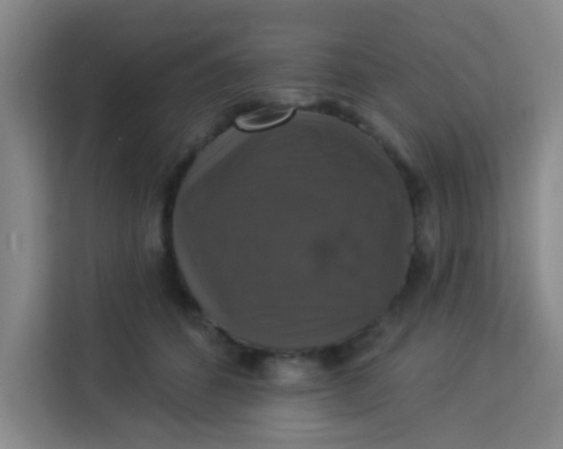 X0000113280512200910051043