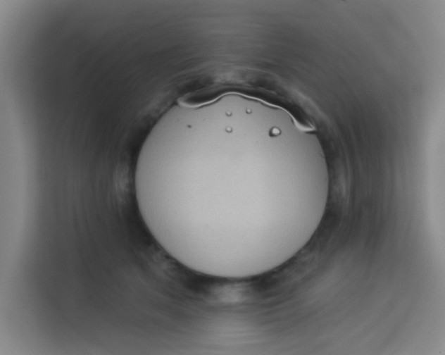 X0000113280513200910051043