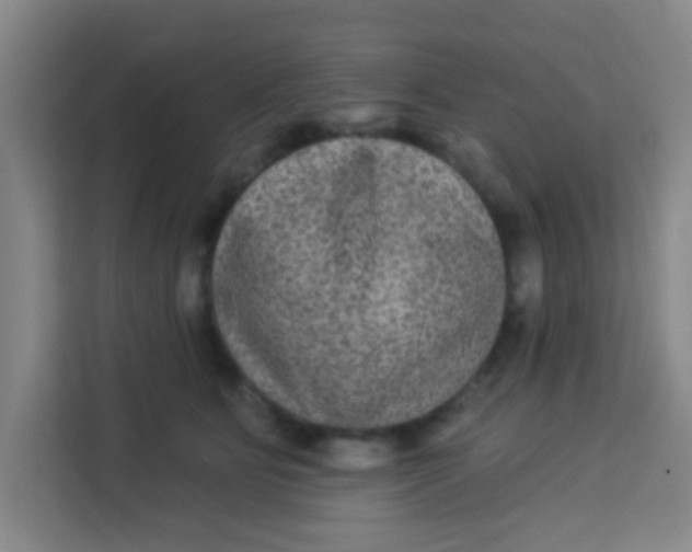 X0000113280515200910051043