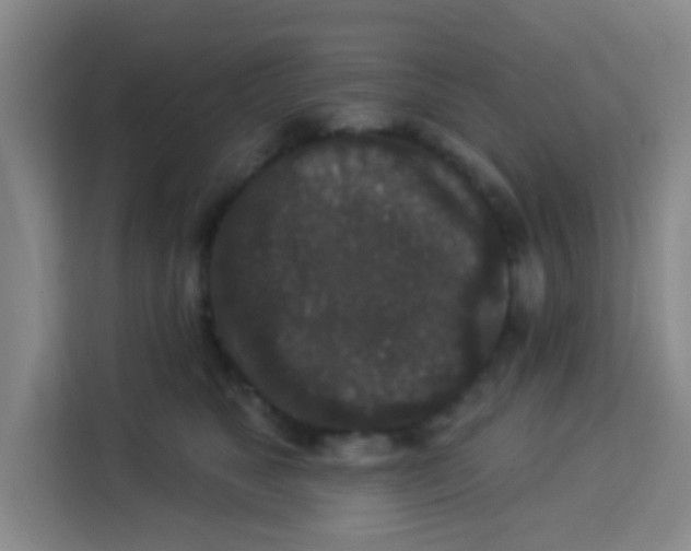 X0000113280517200910051043