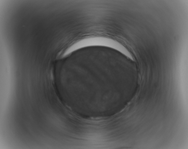 X0000113280520200910051043