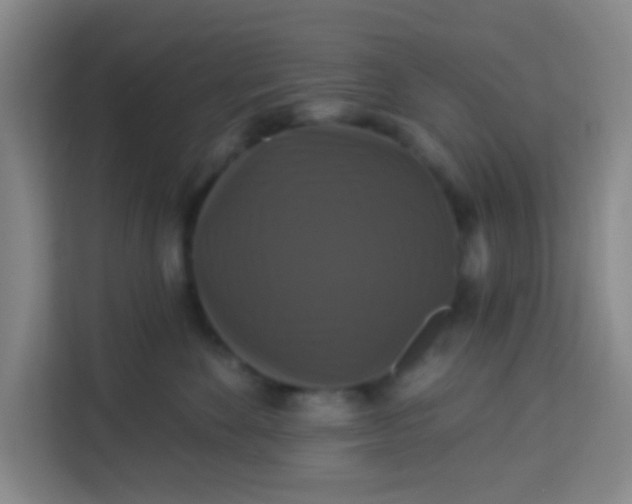 X0000113280524200910051043