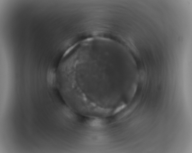 X0000113280527200910051043