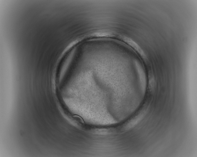 X0000113280530200910051042