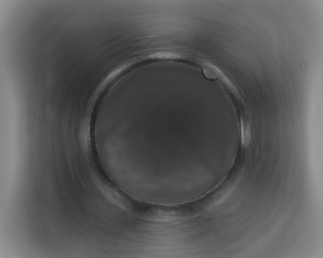 X0000113280531200910051042