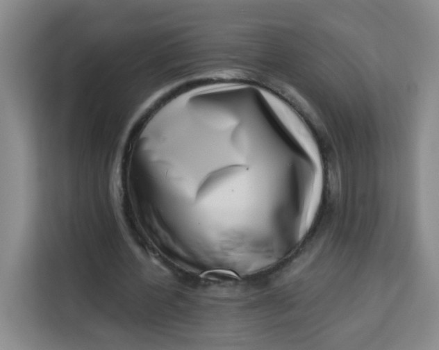 X0000113280532200910051042