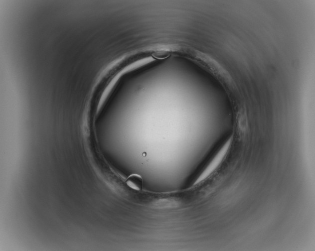 X0000113280536200910051042