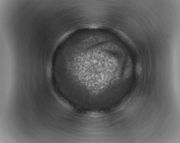 X0000113280540200910051042