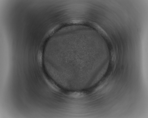 X0000113280542200910051042