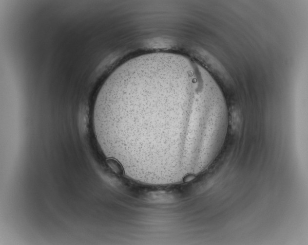 X0000113280544200910051042