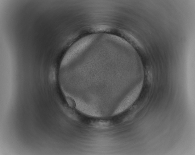 X0000113280546200910051042