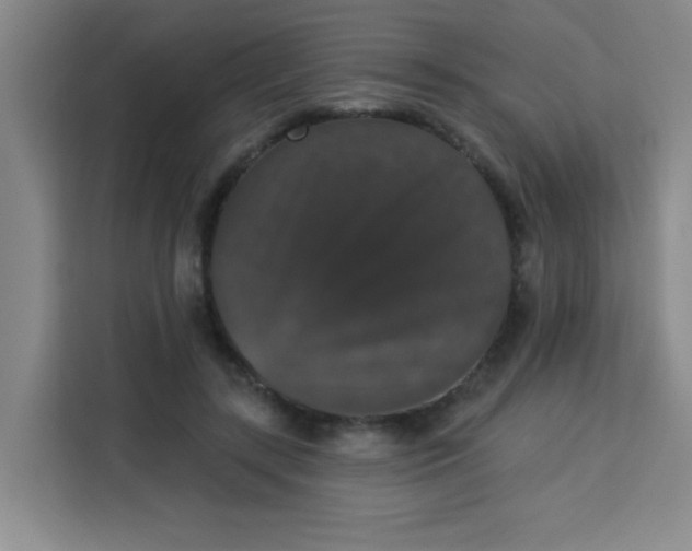 X0000113280547200910051042