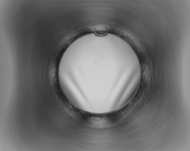 X0000113280548200910051042