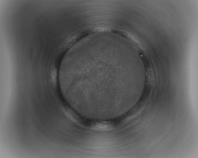 X0000113280550200910051042