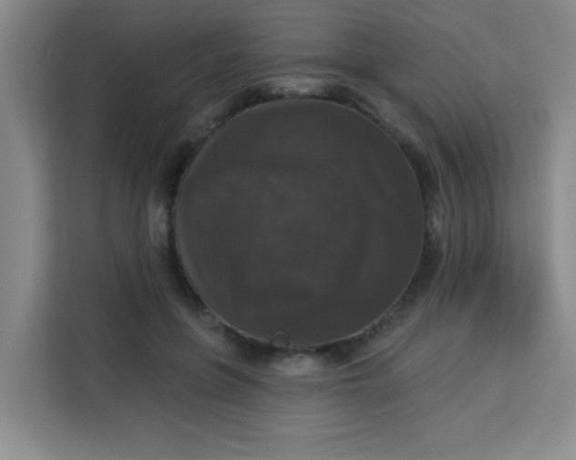 X0000113280551200910051042