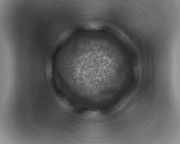 X0000113280552200910051042