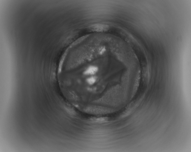 X0000113280553200910051042