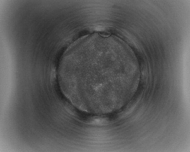 X0000113280555200910051042