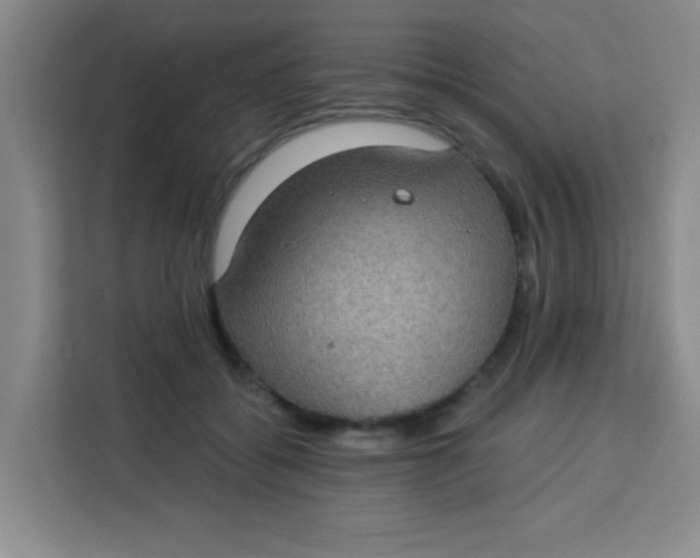 X0000113280556200910051042