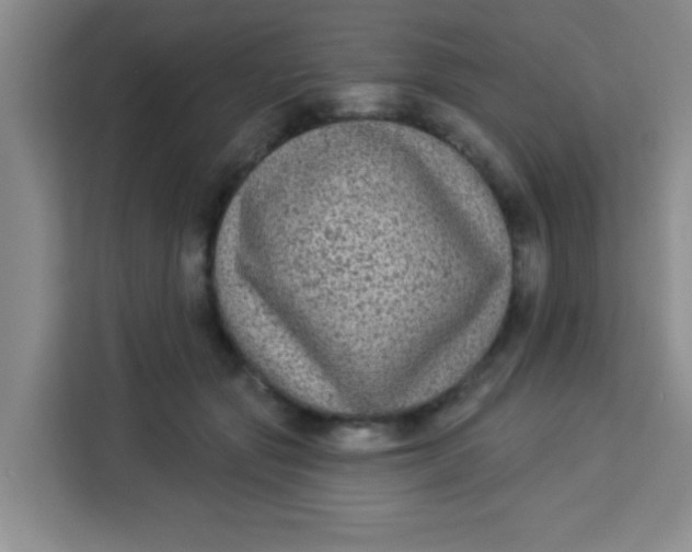 X0000113280557200910051042