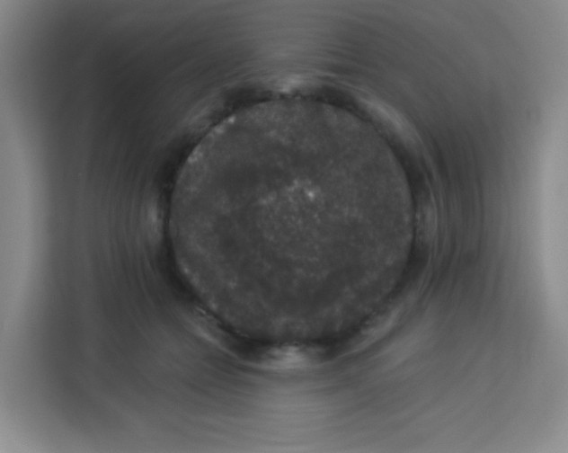 X0000113280558200910051042