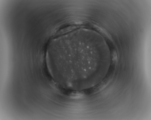 X0000113280559200910051042