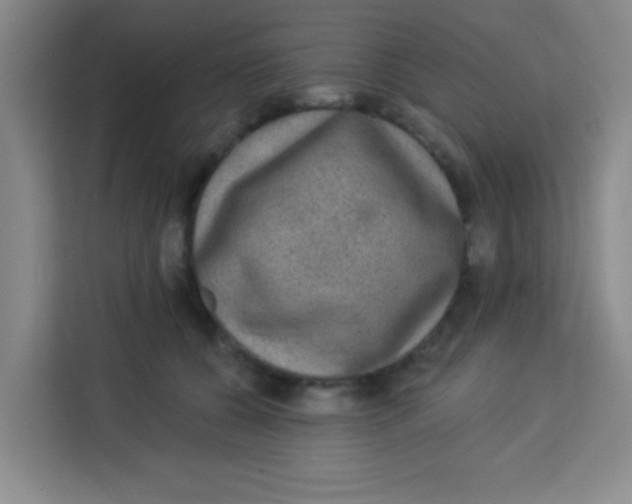 X0000113280560200910051042