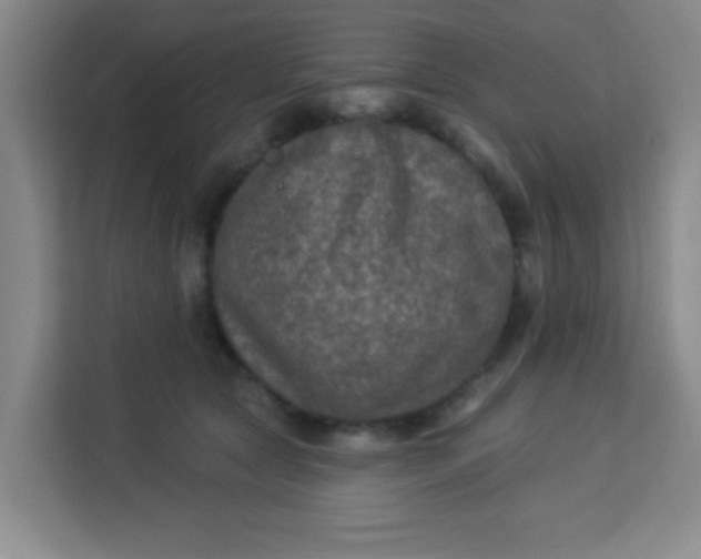 X0000113280561200910051042