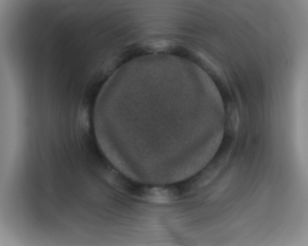 X0000113280562200910051042