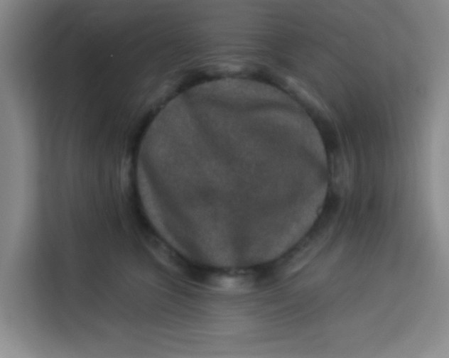 X0000113280563200910051042